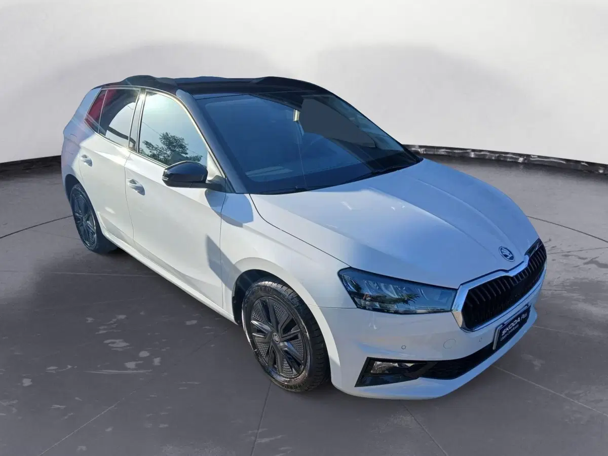 Skoda Fabia usata a Reggio Calabria