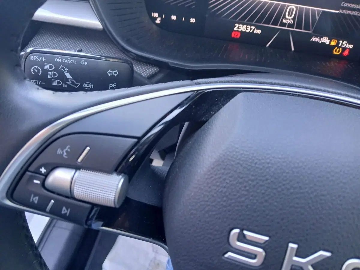 Skoda Fabia usata a Reggio Calabria (12)