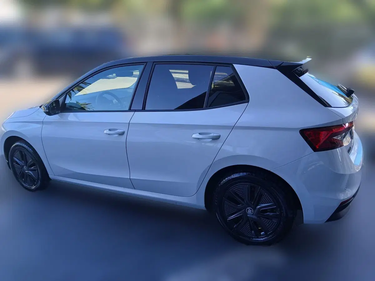 Skoda Fabia usata a Reggio Calabria (2)