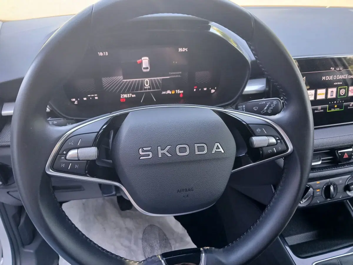 Skoda Fabia usata a Reggio Calabria (7)