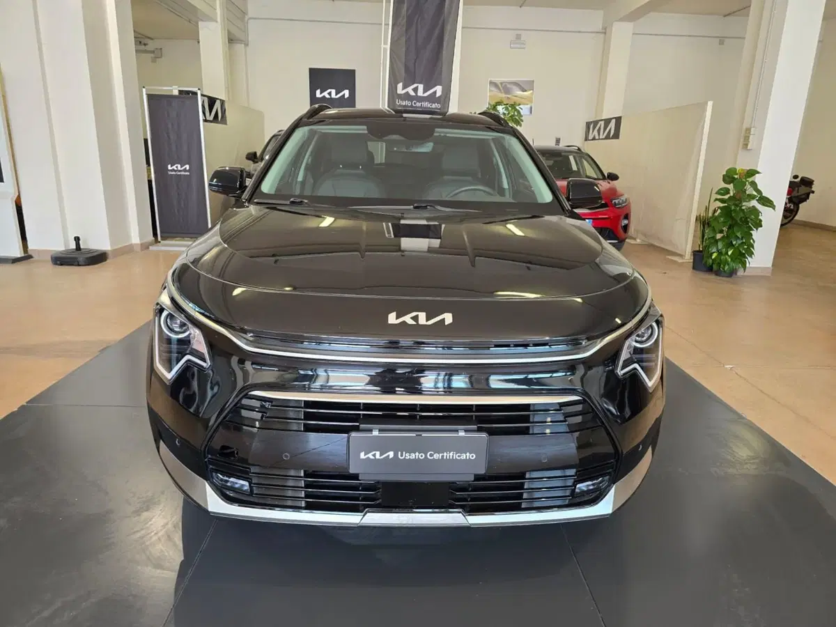 Kia Niro usata a Rimini (2)