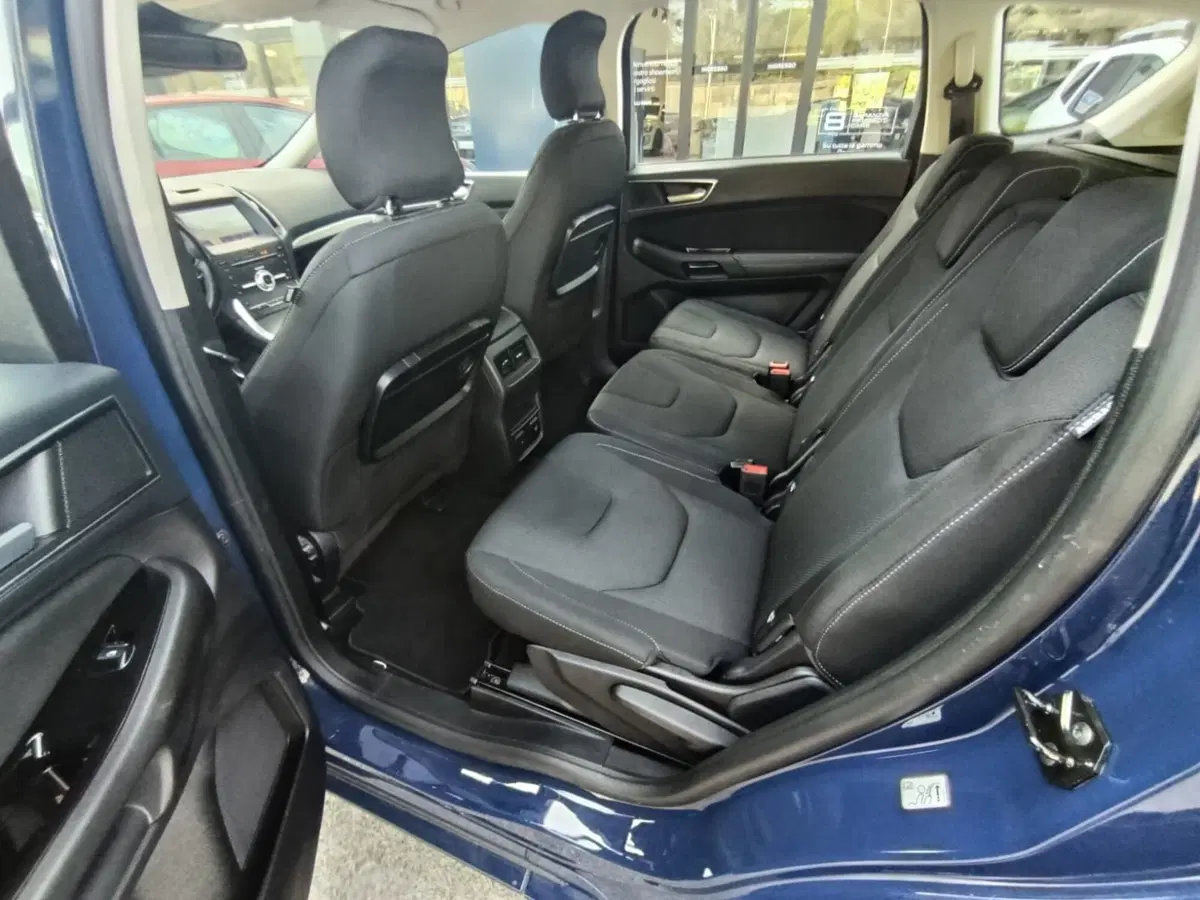 Ford S-Max usata a Massa-Carrara (11)