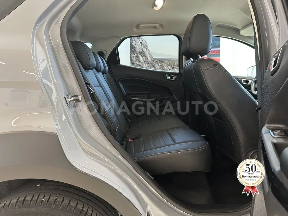 Ford EcoSport usata a Forlì-Cesena (11)