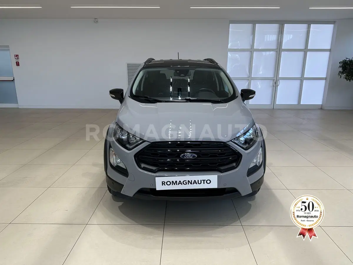 Ford EcoSport usata a Forlì-Cesena (2)