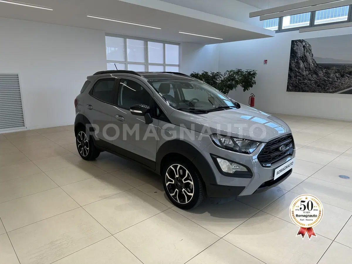 Ford EcoSport usata a Forlì-Cesena (3)