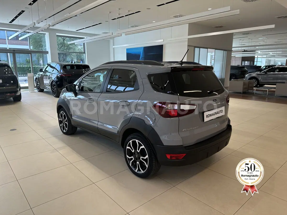 Ford EcoSport usata a Forlì-Cesena (7)