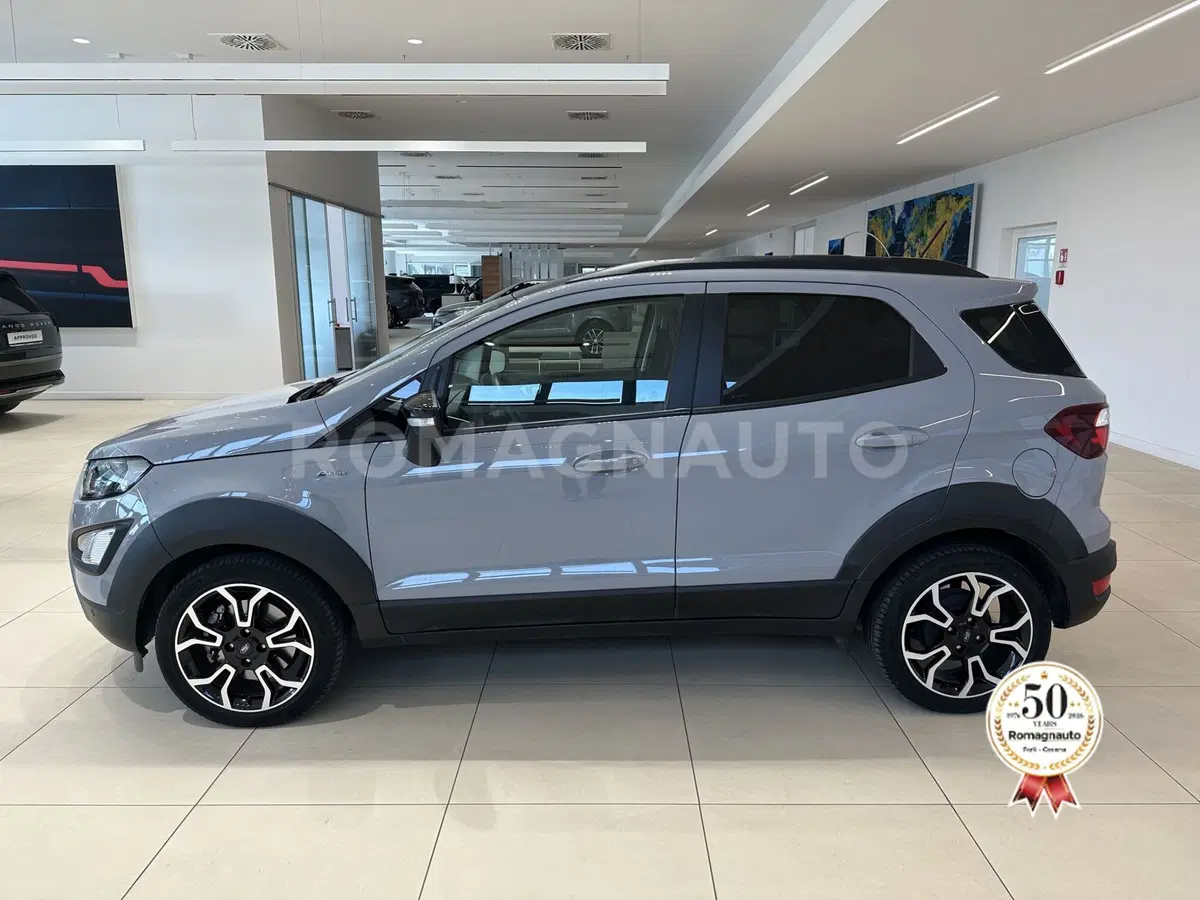 Ford EcoSport usata a Forlì-Cesena (8)