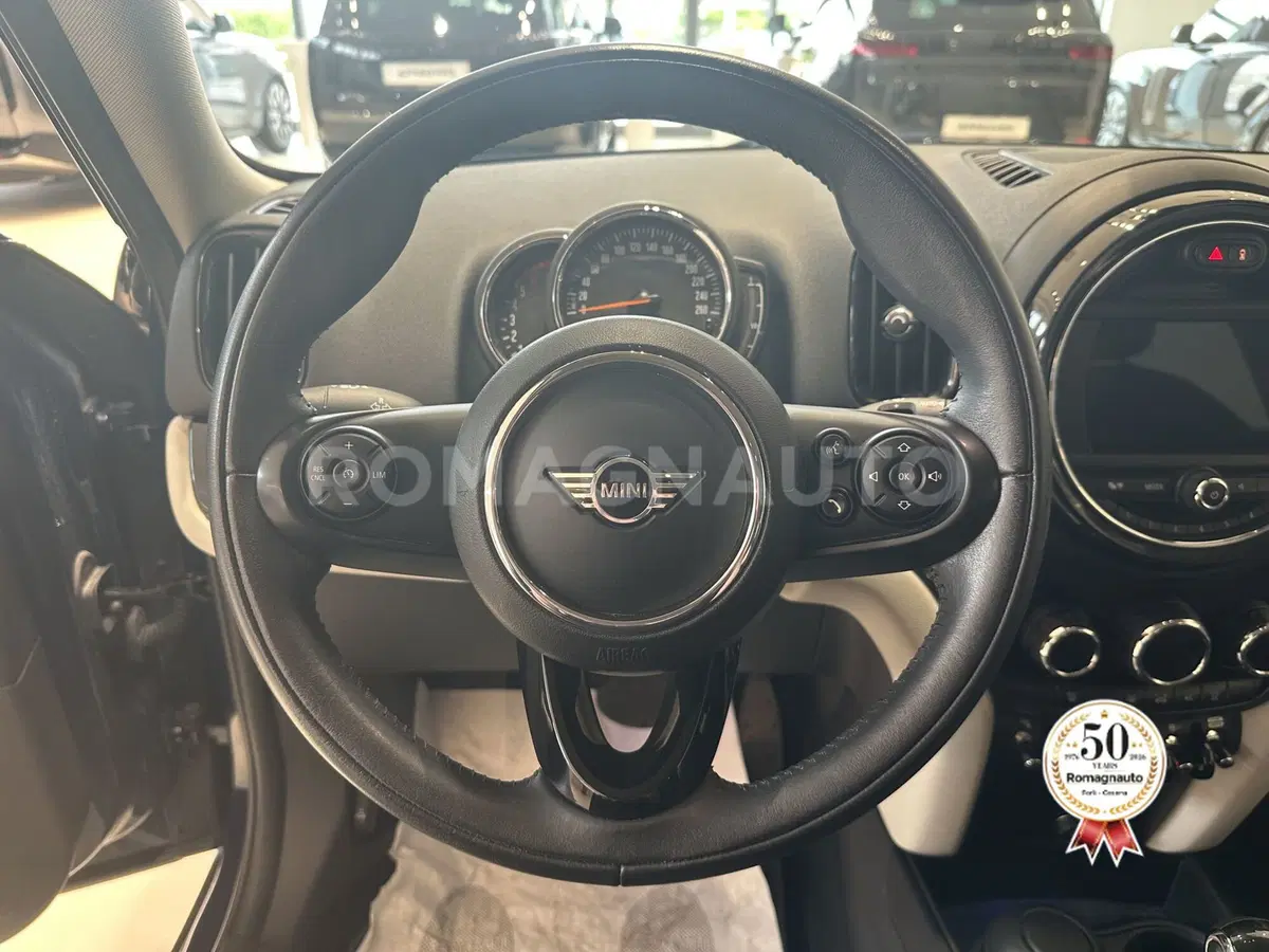MINI Mini Countryman usata a Forlì-Cesena (16)