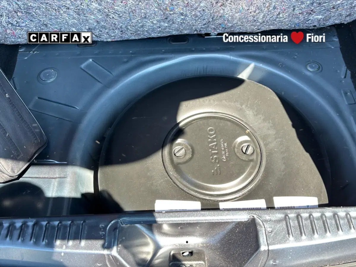 Dacia Sandero usata a Roma (12)