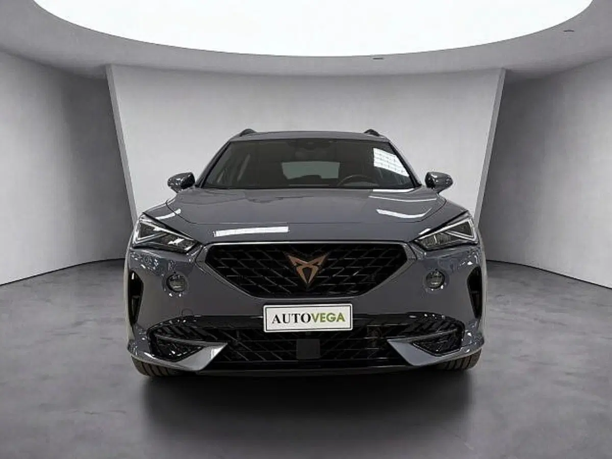 Cupra Formentor usata a Vicenza (2)