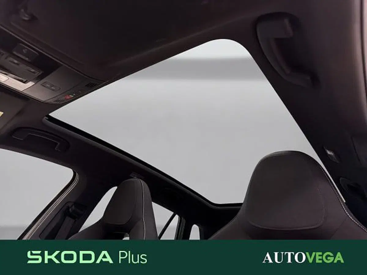 Skoda Kamiq usata a Vicenza (16)