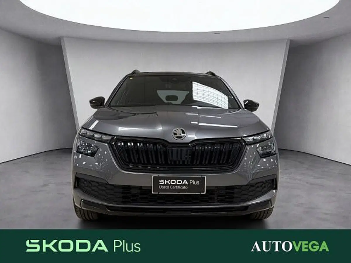 Skoda Kamiq usata a Vicenza (2)