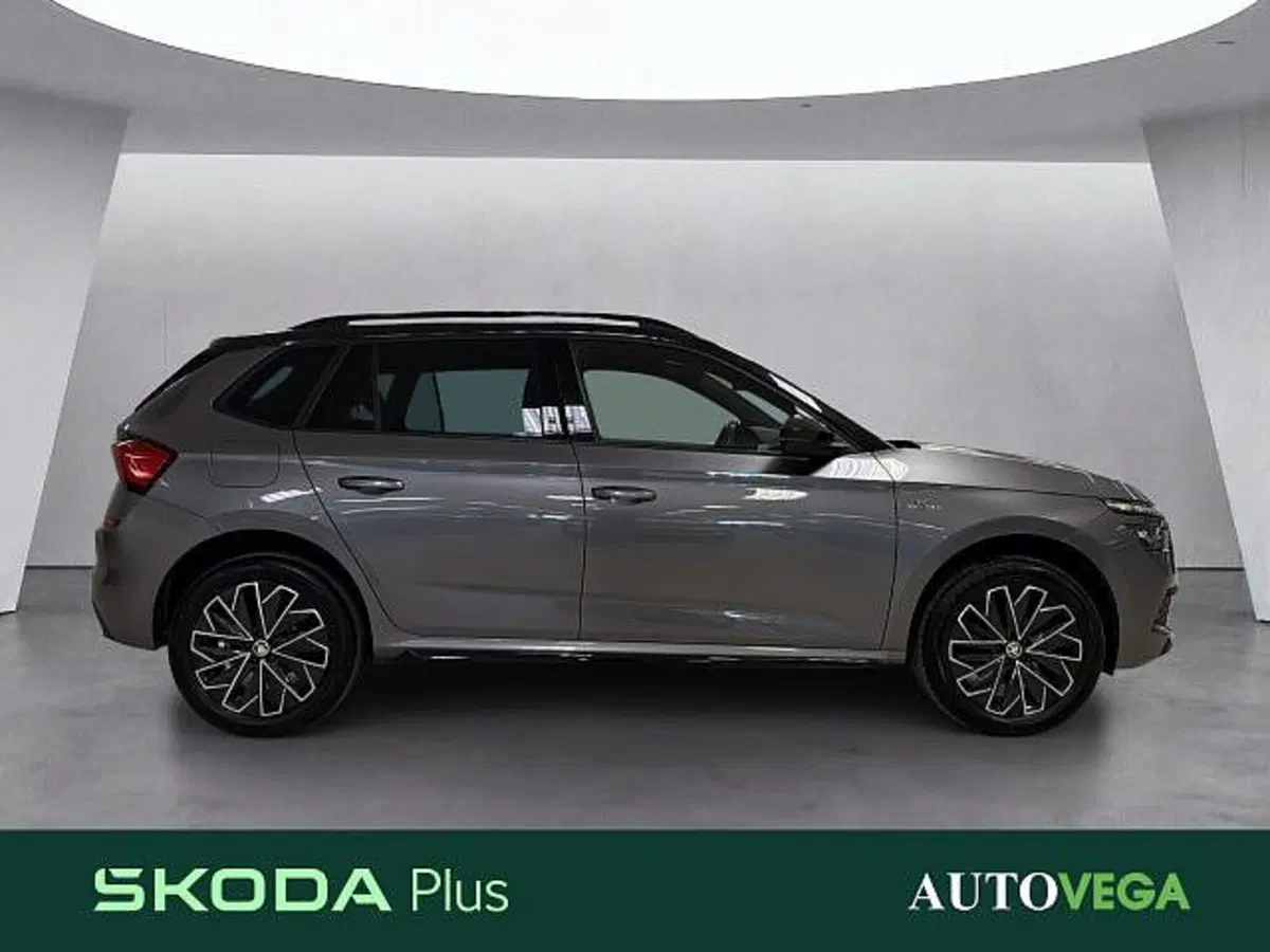 Skoda Kamiq usata a Vicenza (3)