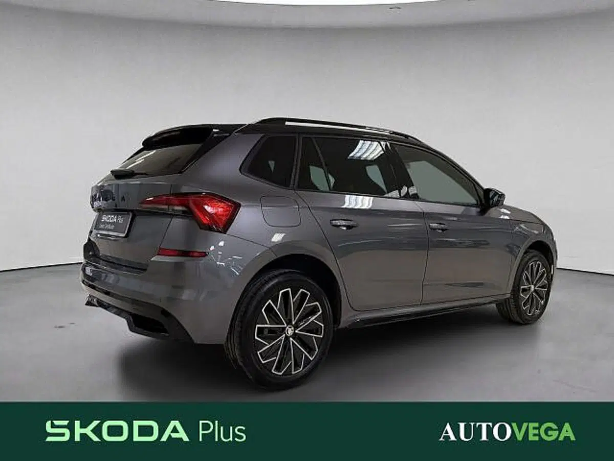 Skoda Kamiq usata a Vicenza (4)