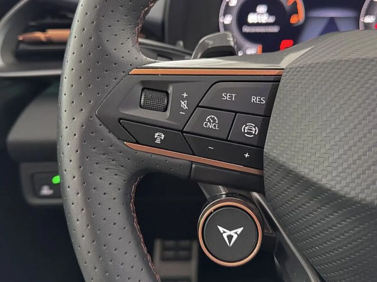 Cupra Terramar usata a Vicenza (17)