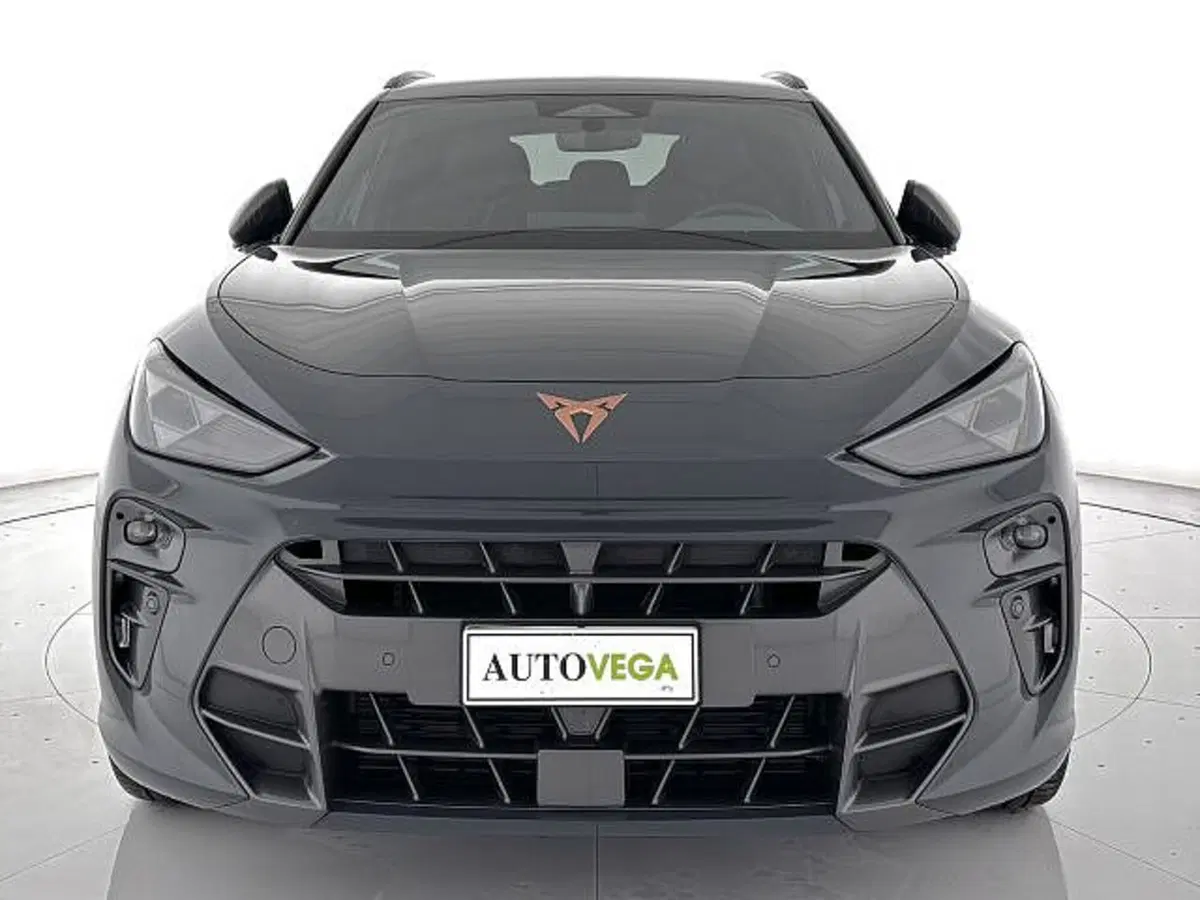 Cupra Terramar usata a Vicenza (2)
