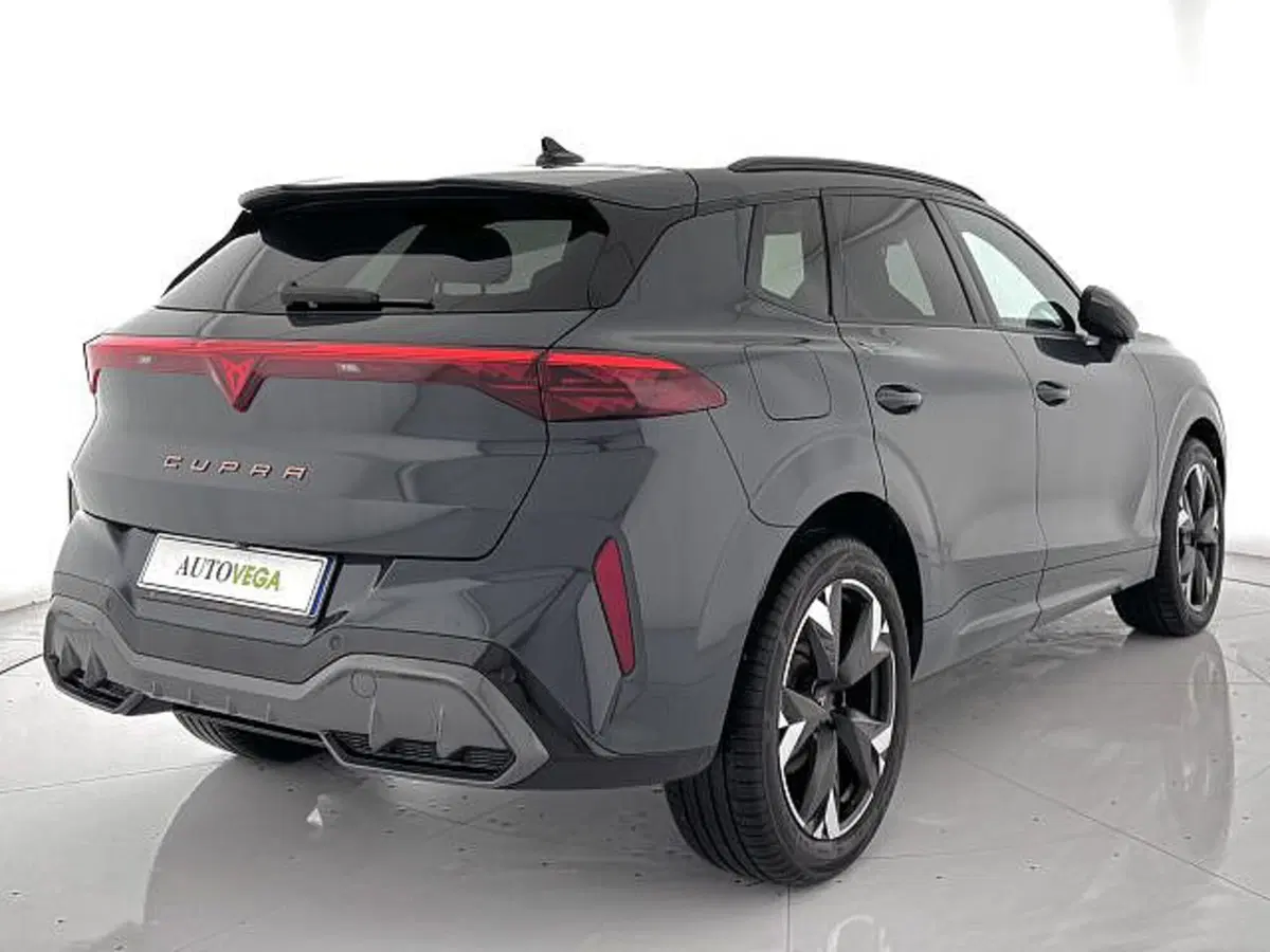Cupra Terramar usata a Vicenza (3)
