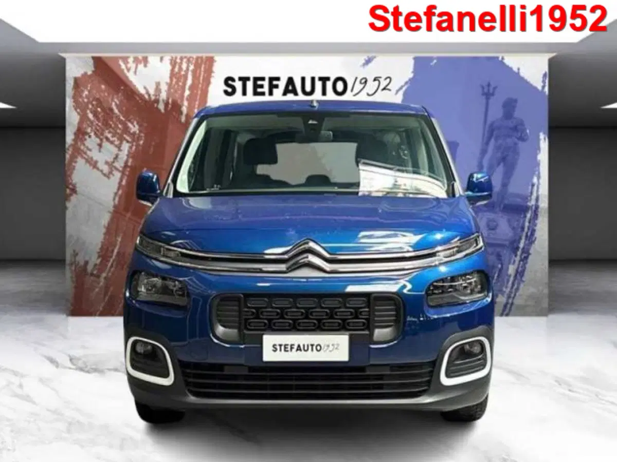 Citroen Berlingo usata a Bologna (2)