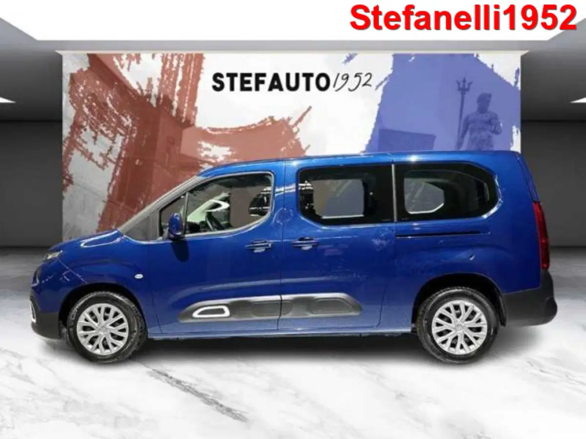 Citroen Berlingo usata a Bologna (4)