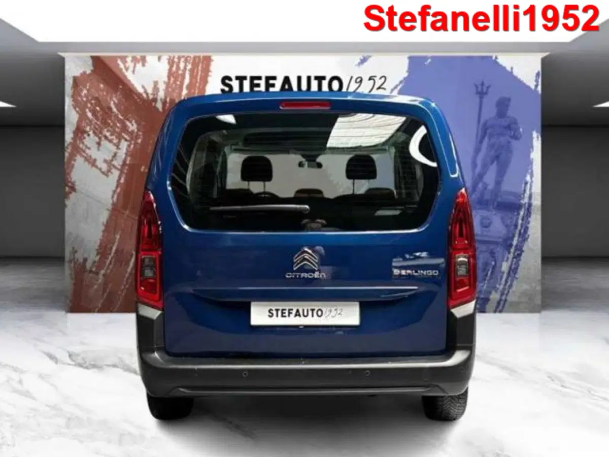 Citroen Berlingo usata a Bologna (6)