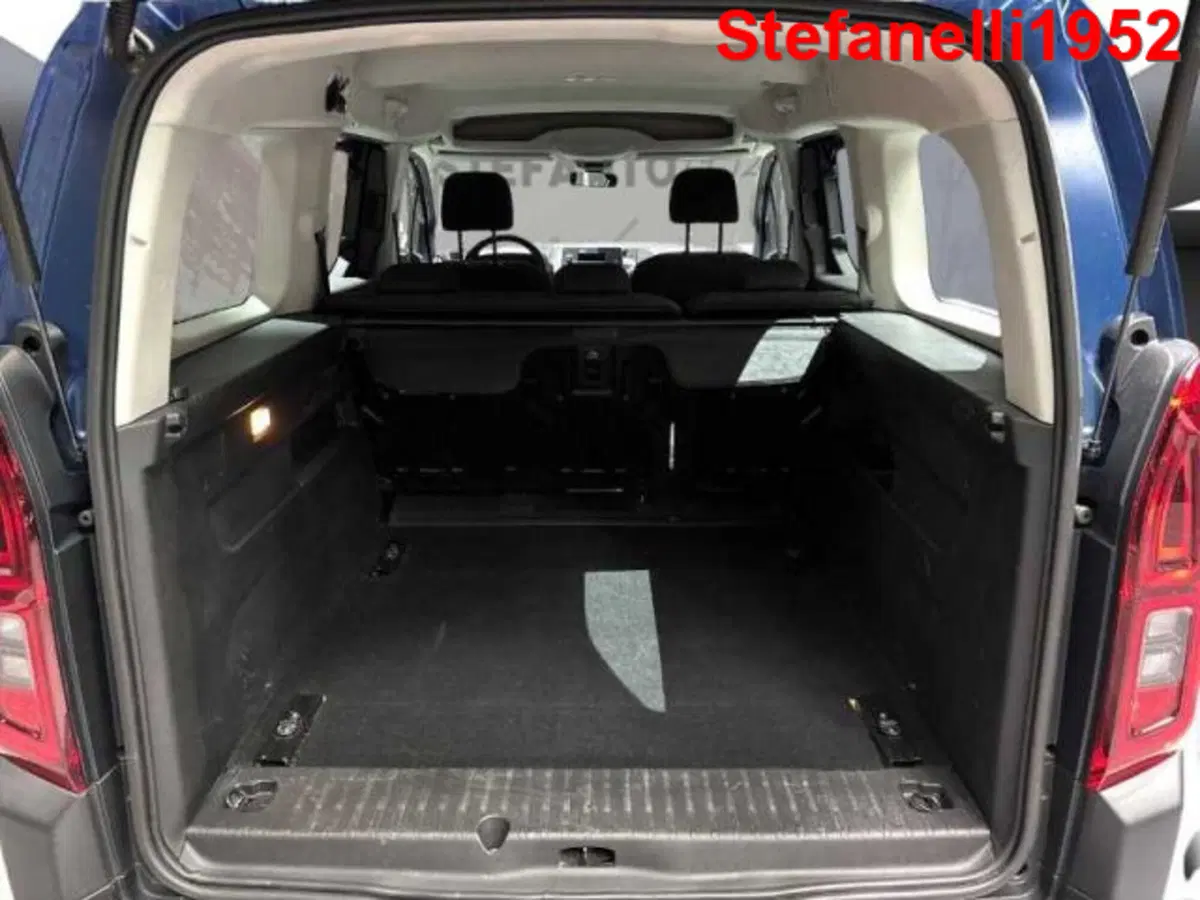 Citroen Berlingo usata a Bologna (7)