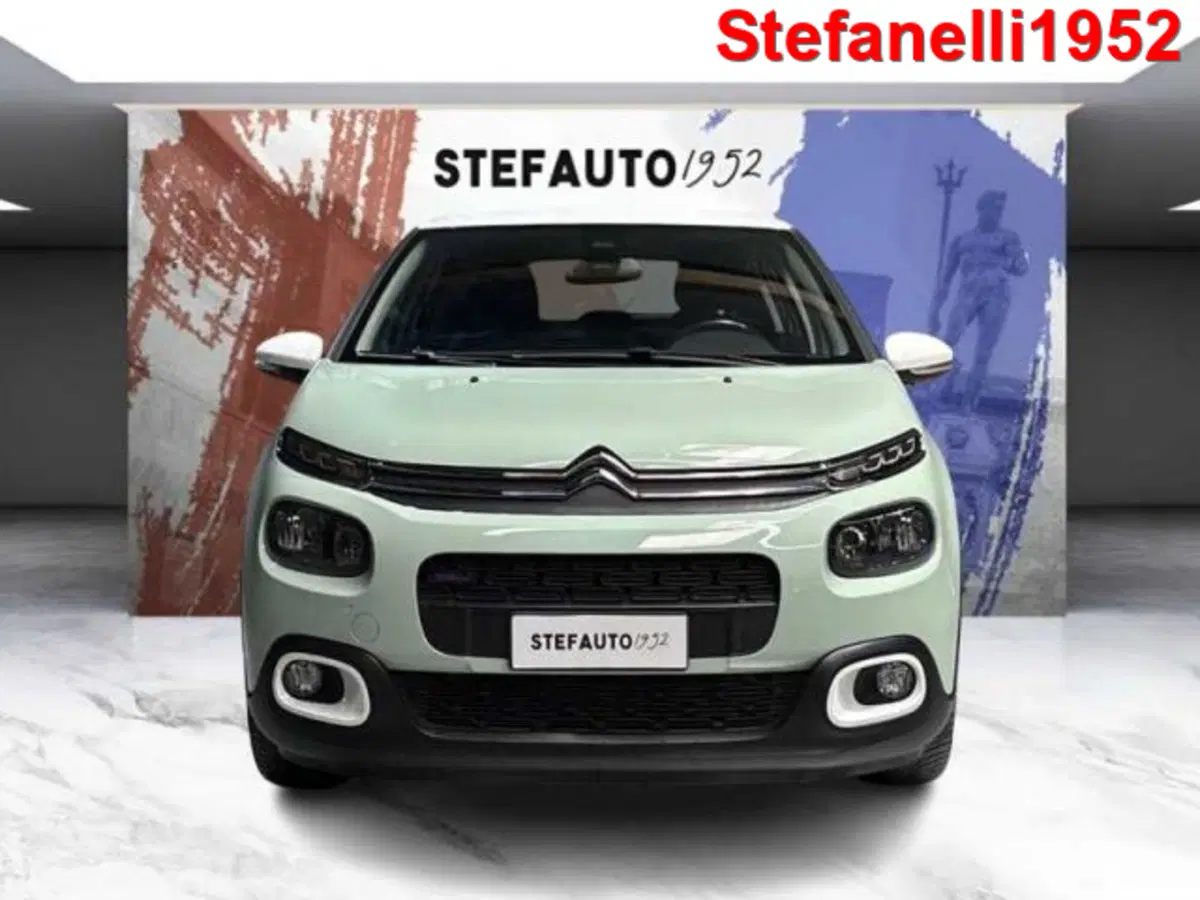 Citroen C3 usata a Bologna (2)