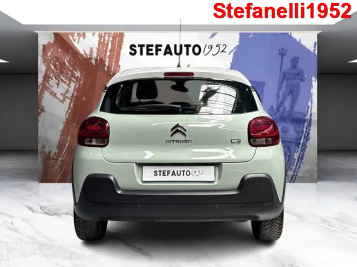 Citroen C3 usata a Bologna (6)