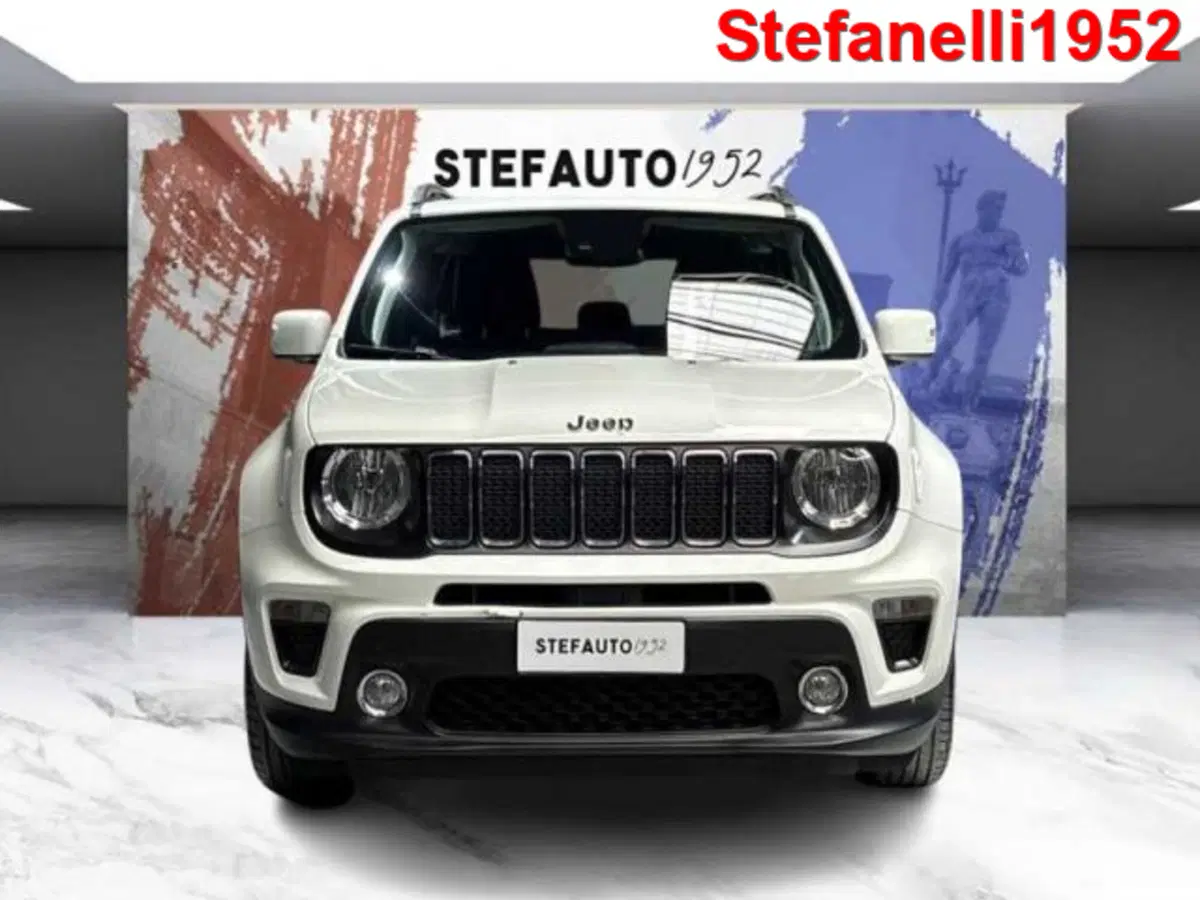 Jeep Renegade usata a Bologna (2)