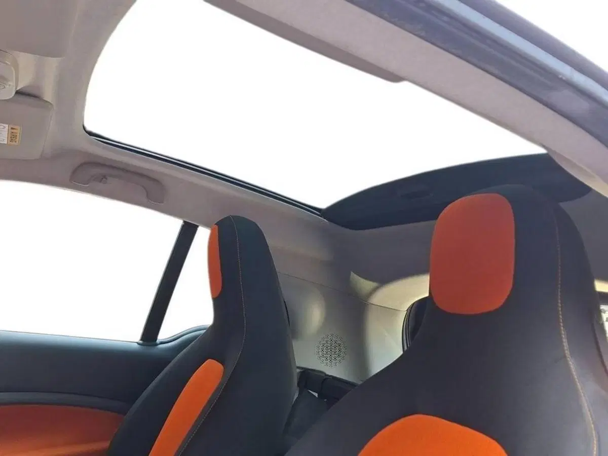 smart Fortwo usata a Torino (11)