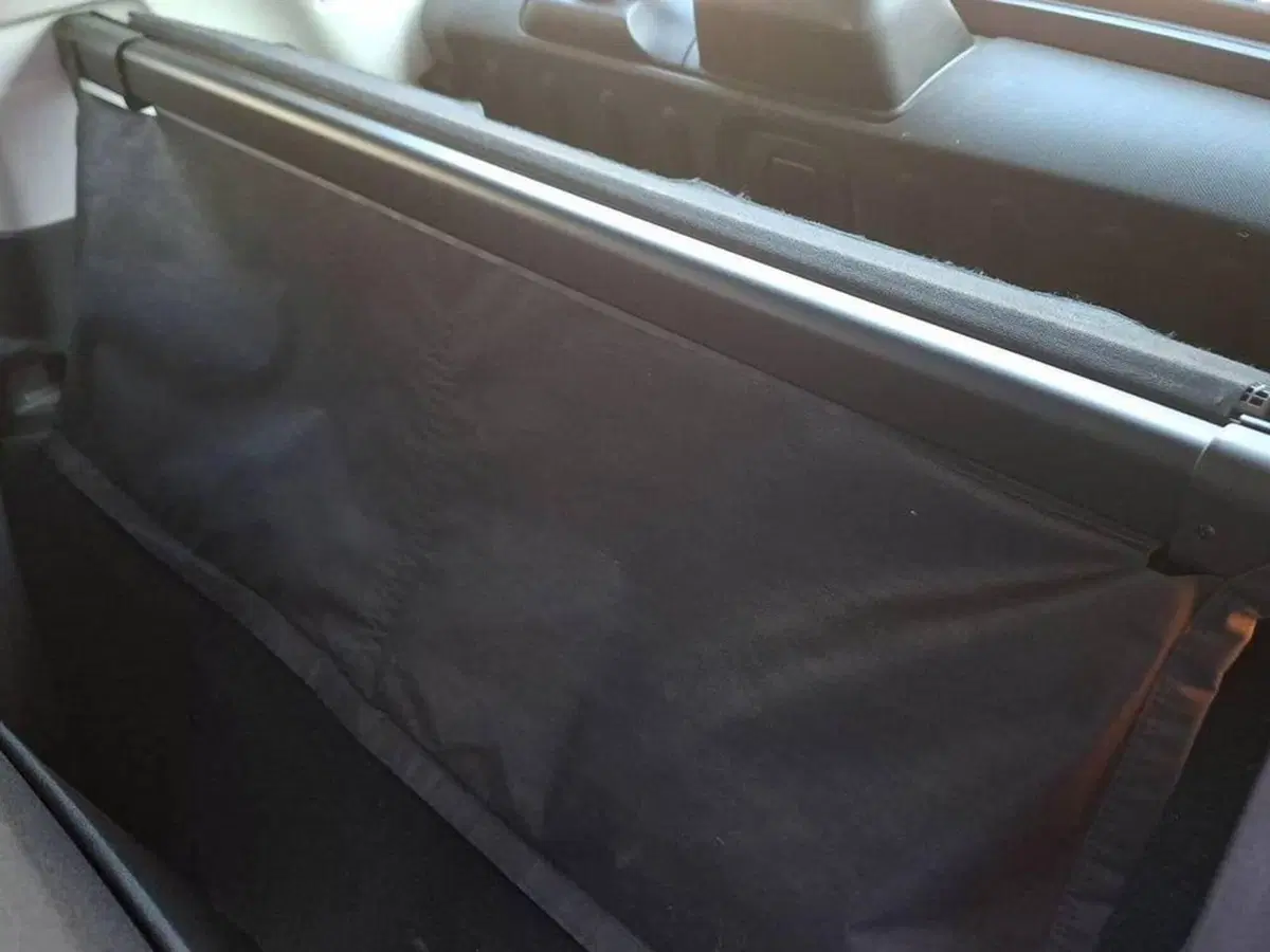 smart Fortwo usata a Torino (12)