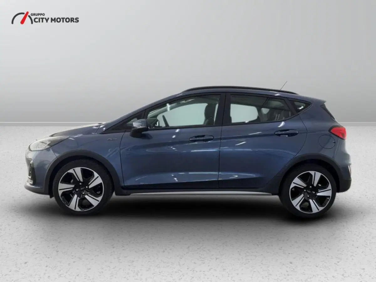Ford Fiesta usata a Monza e Brianza (3)