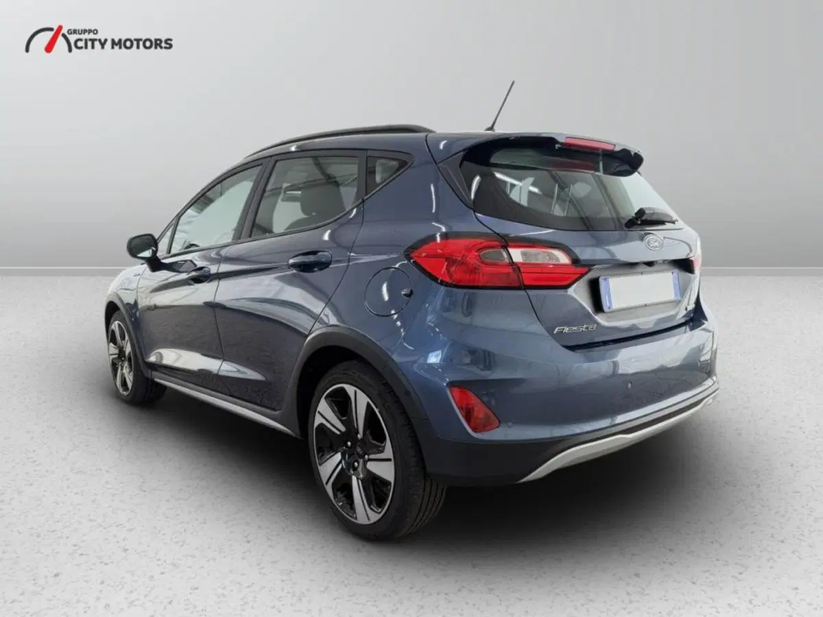 Ford Fiesta usata a Monza e Brianza (4)