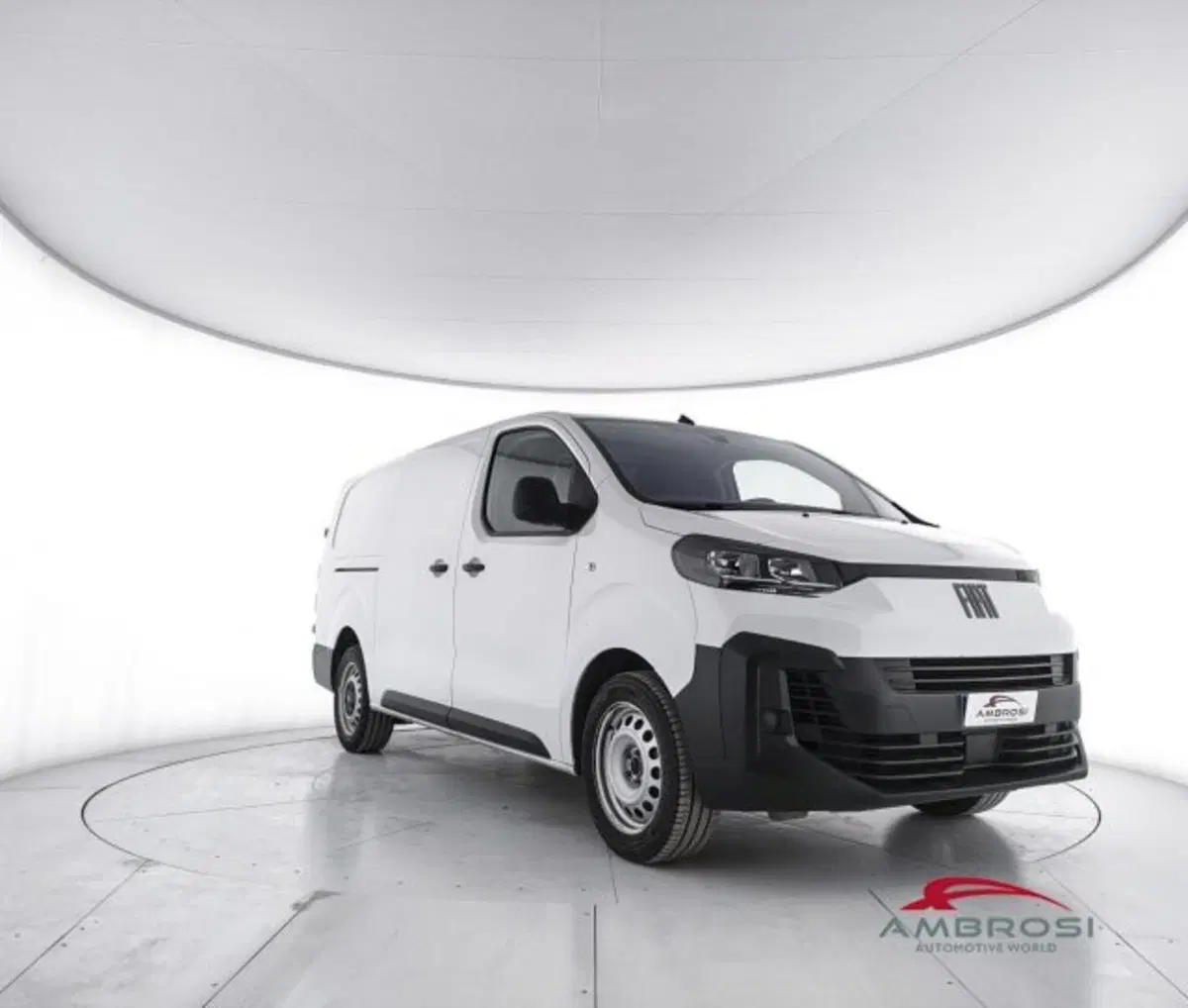 Fiat Scudo Furgone usata a Perugia (2)