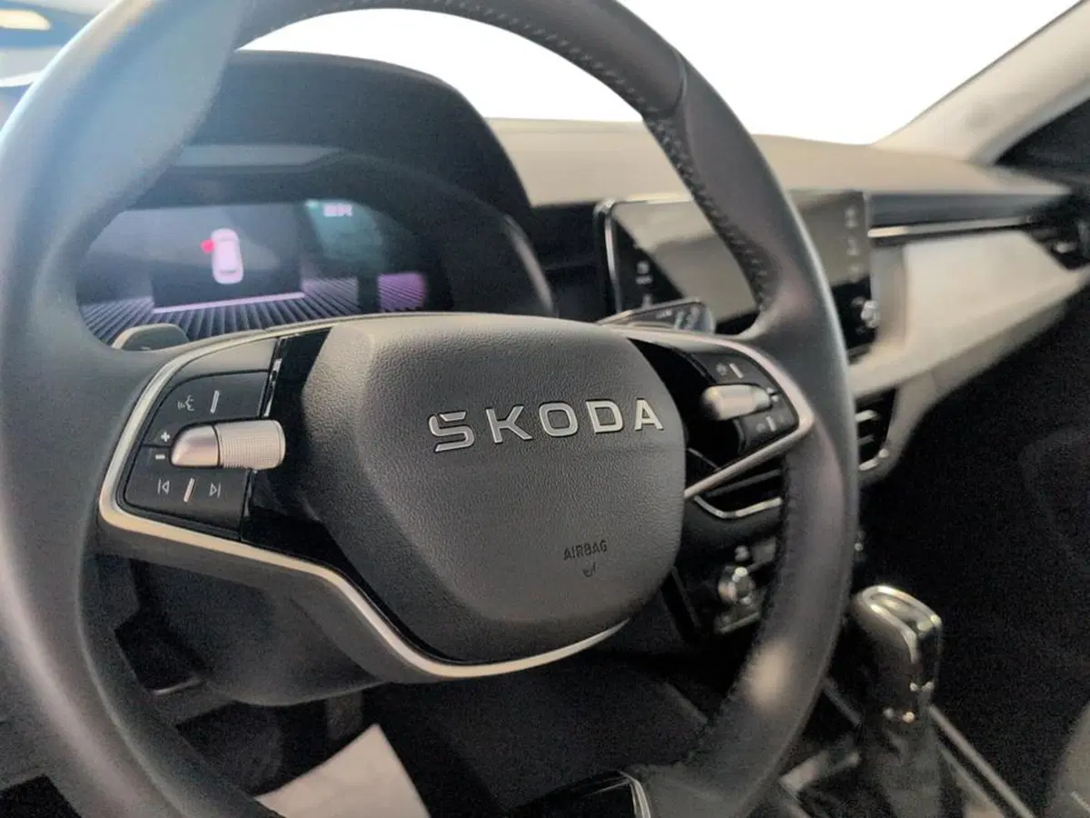 Skoda Kamiq usata a Piacenza (10)