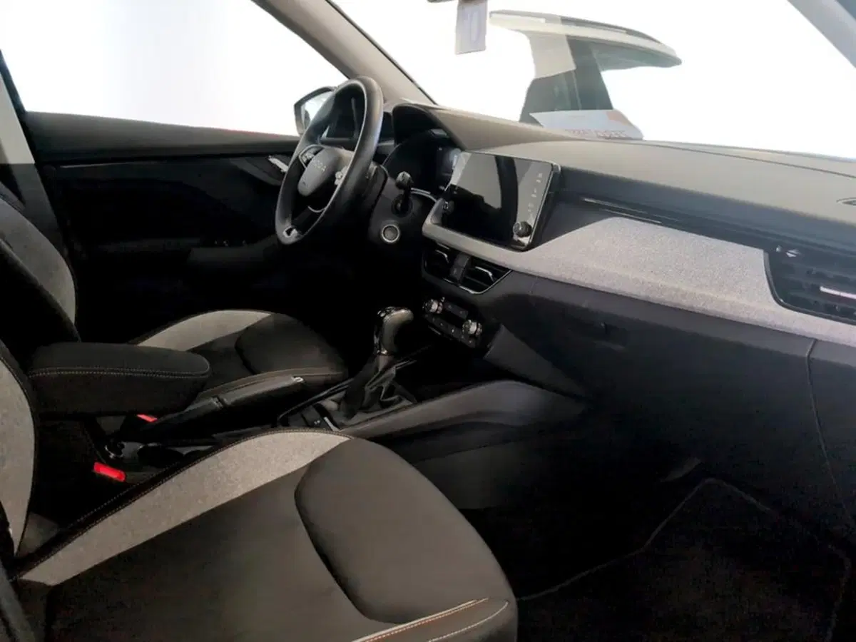 Skoda Kamiq usata a Piacenza (13)