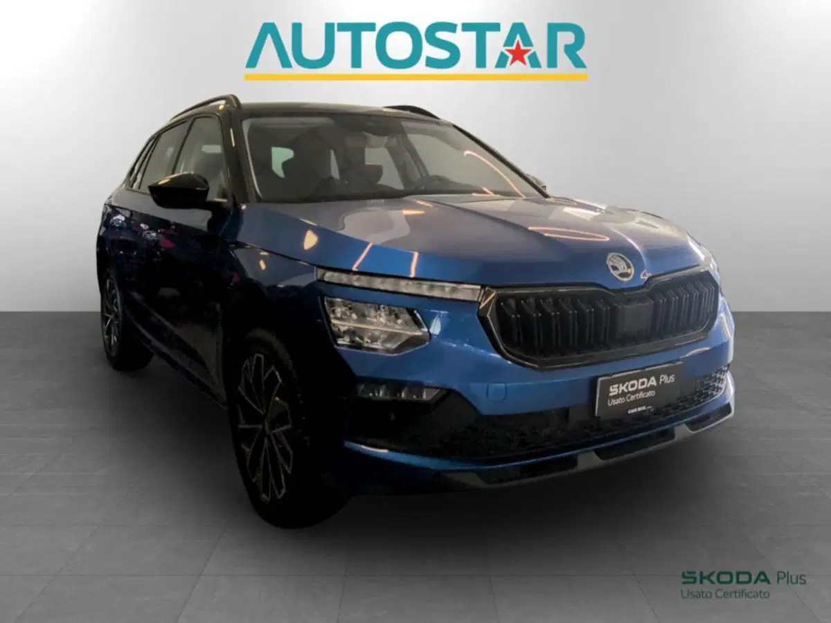 Skoda Kamiq usata a Piacenza (3)