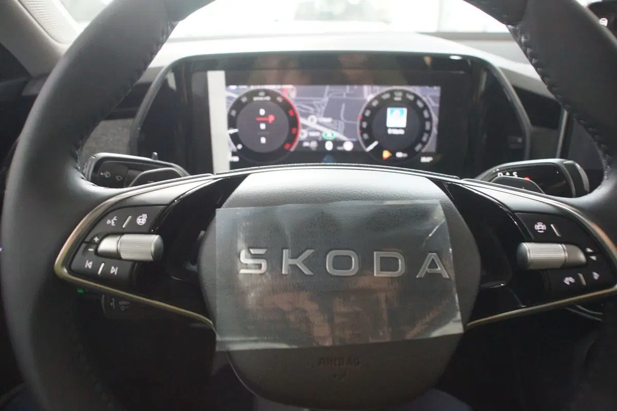 Skoda Kodiaq nuova a Torino (20)