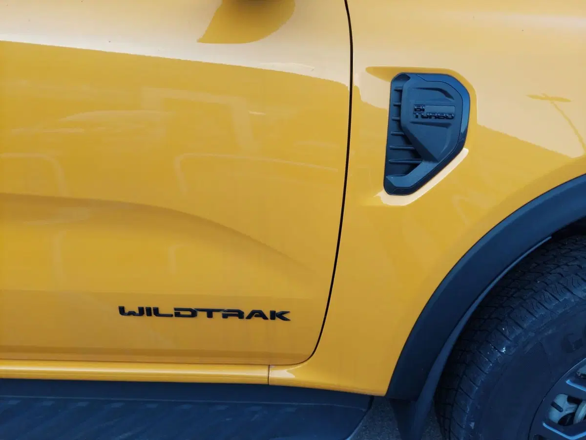 Ford Ranger Pick-up nuova a Belluno (13)