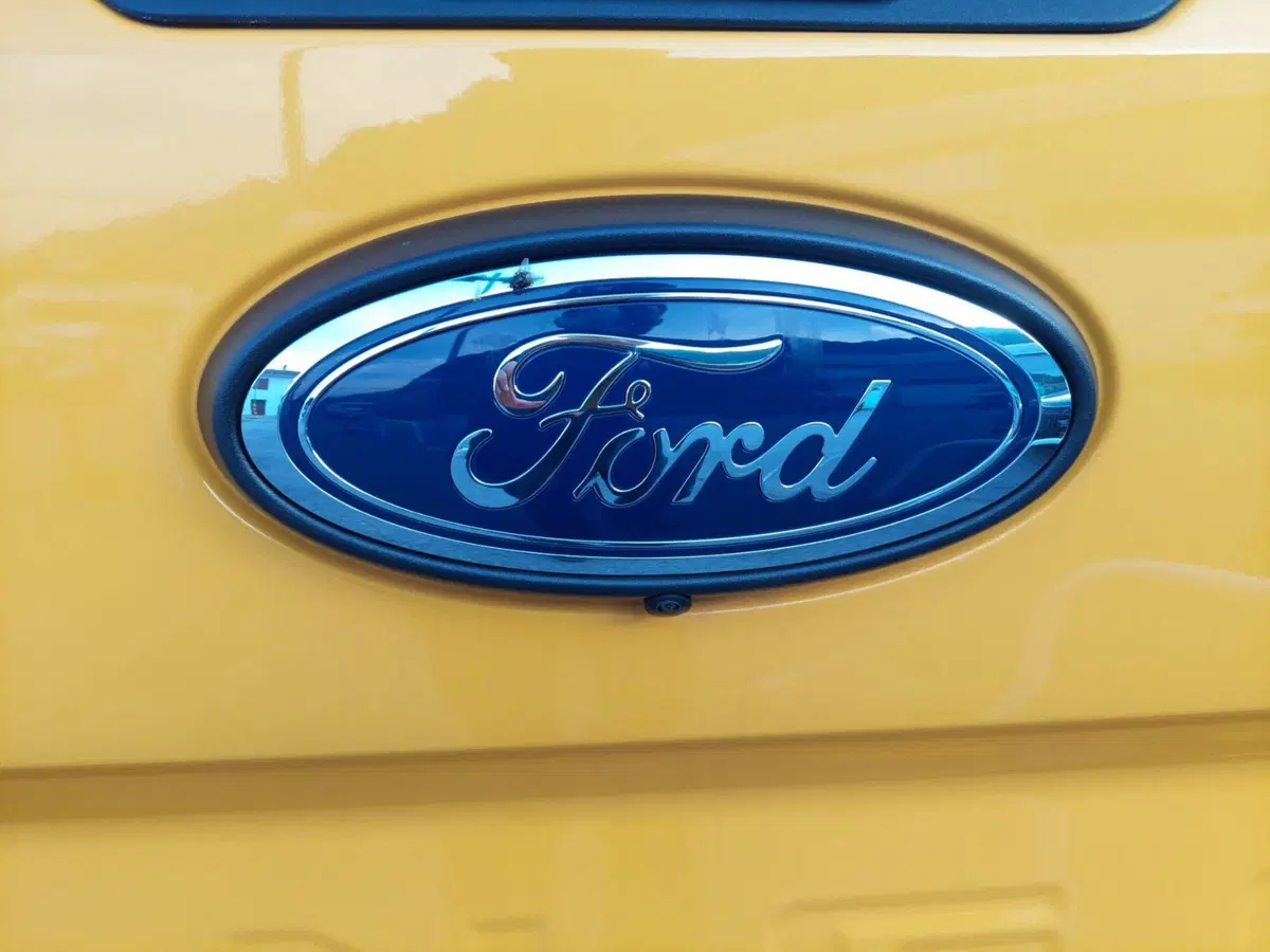 Ford Ranger Pick-up nuova a Belluno (16)