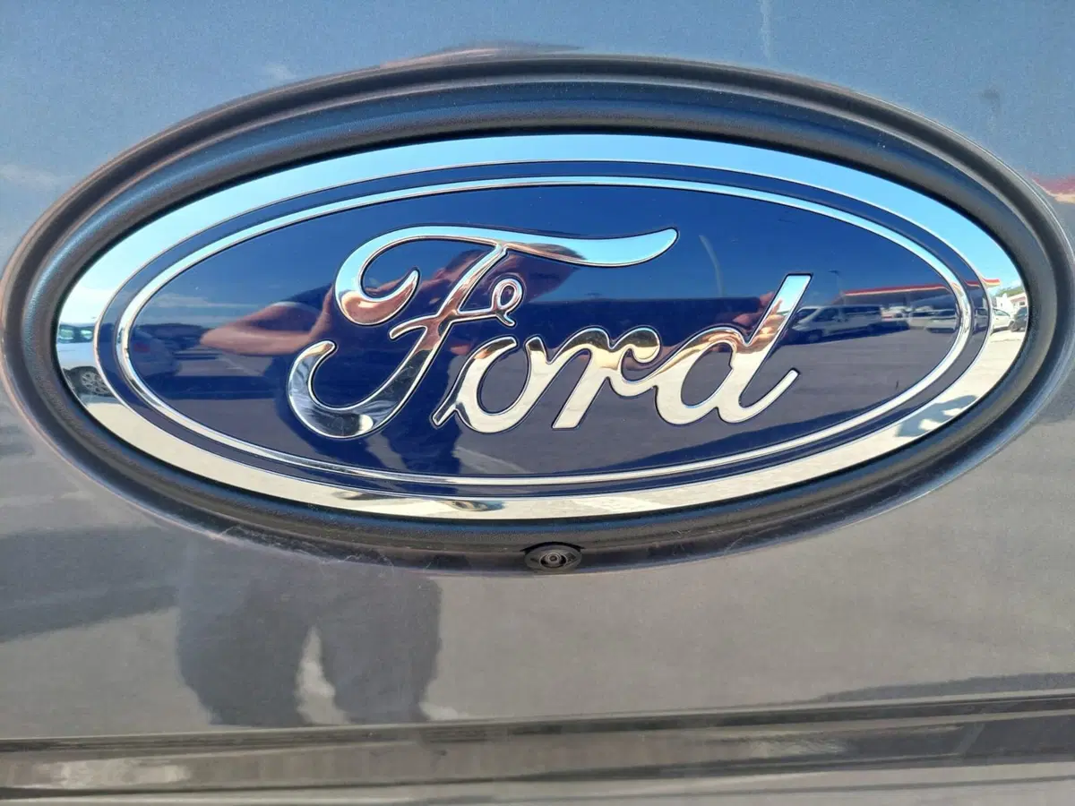 Ford Ranger Pick-up nuova a Belluno (15)