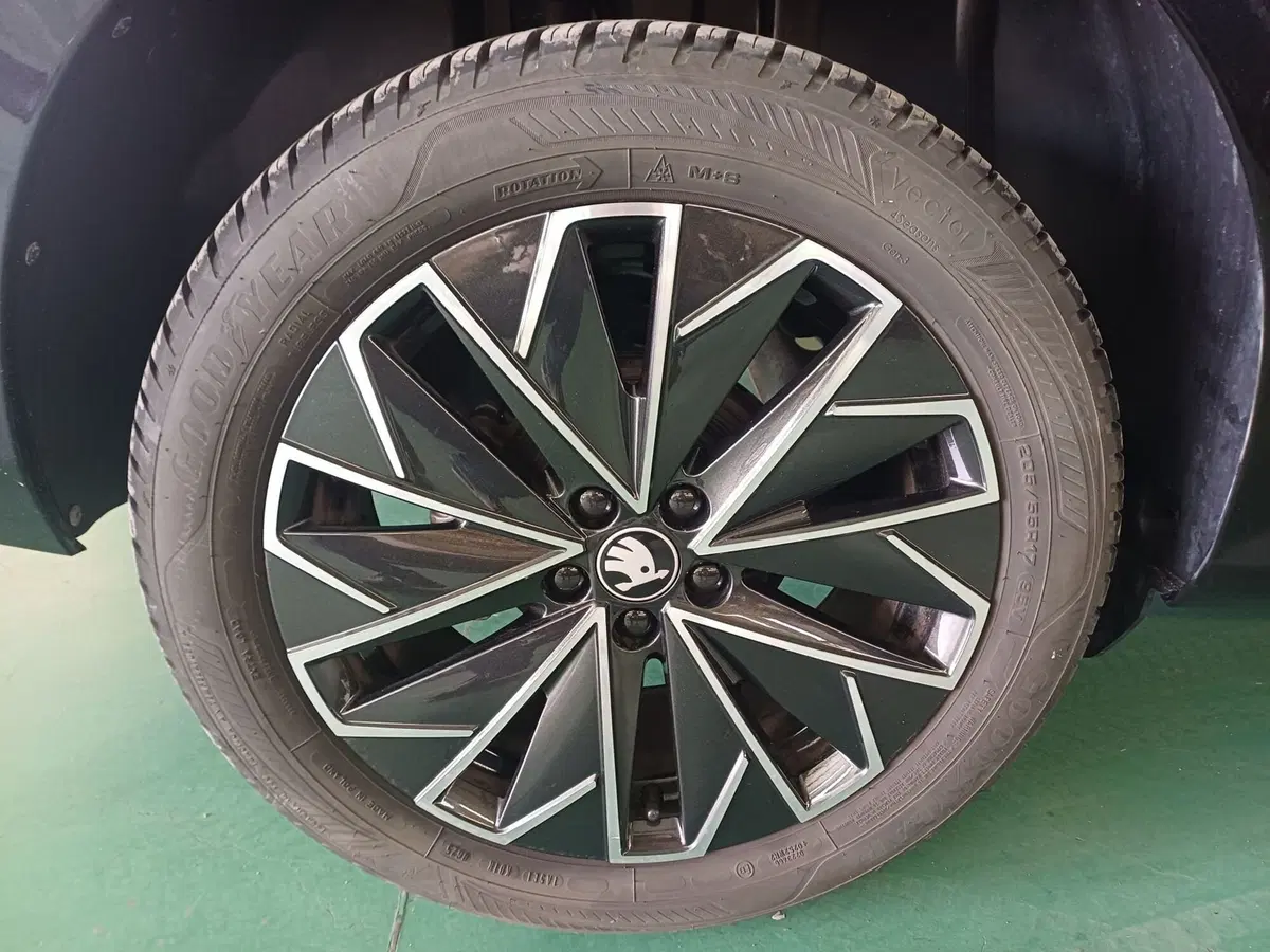Skoda Kamiq usata a Reggio Calabria (19)
