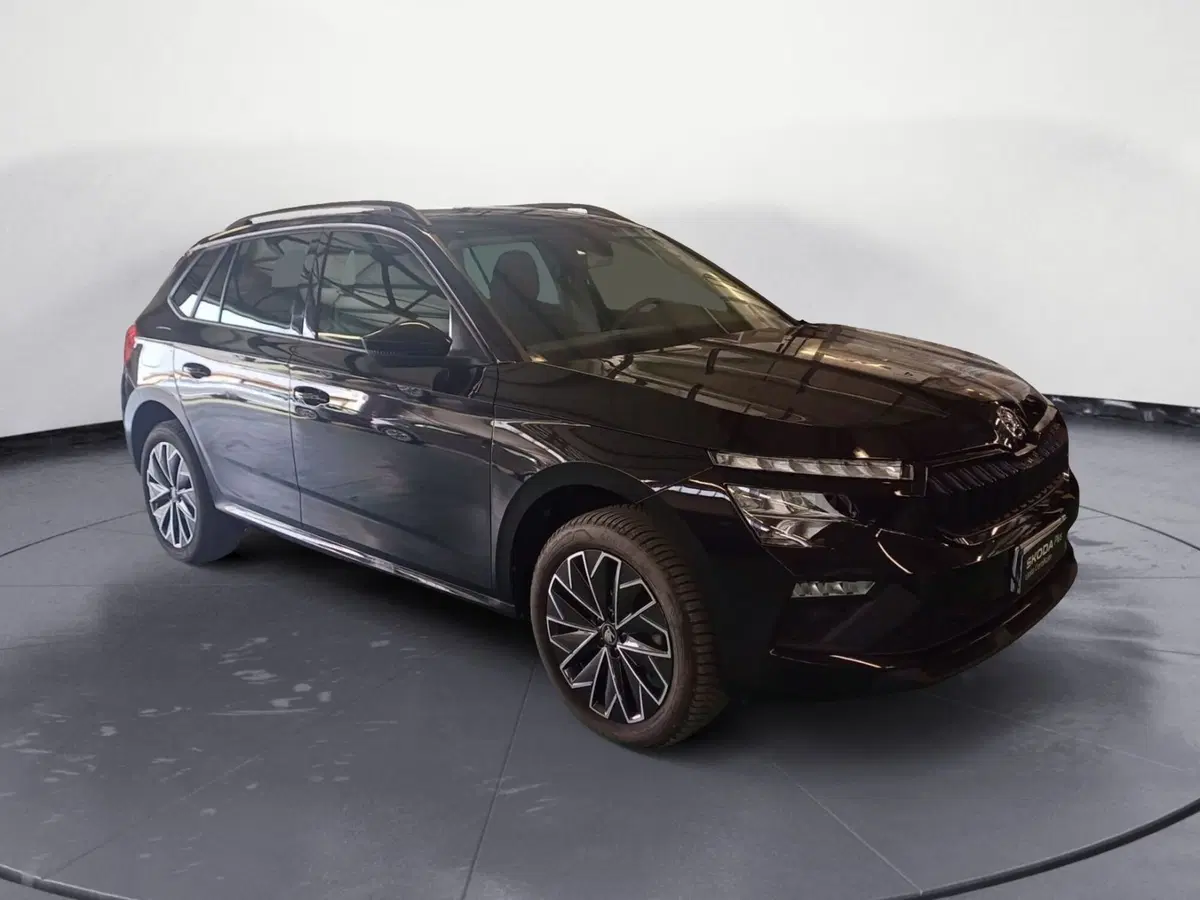 Skoda Kamiq usata a Reggio Calabria (7)