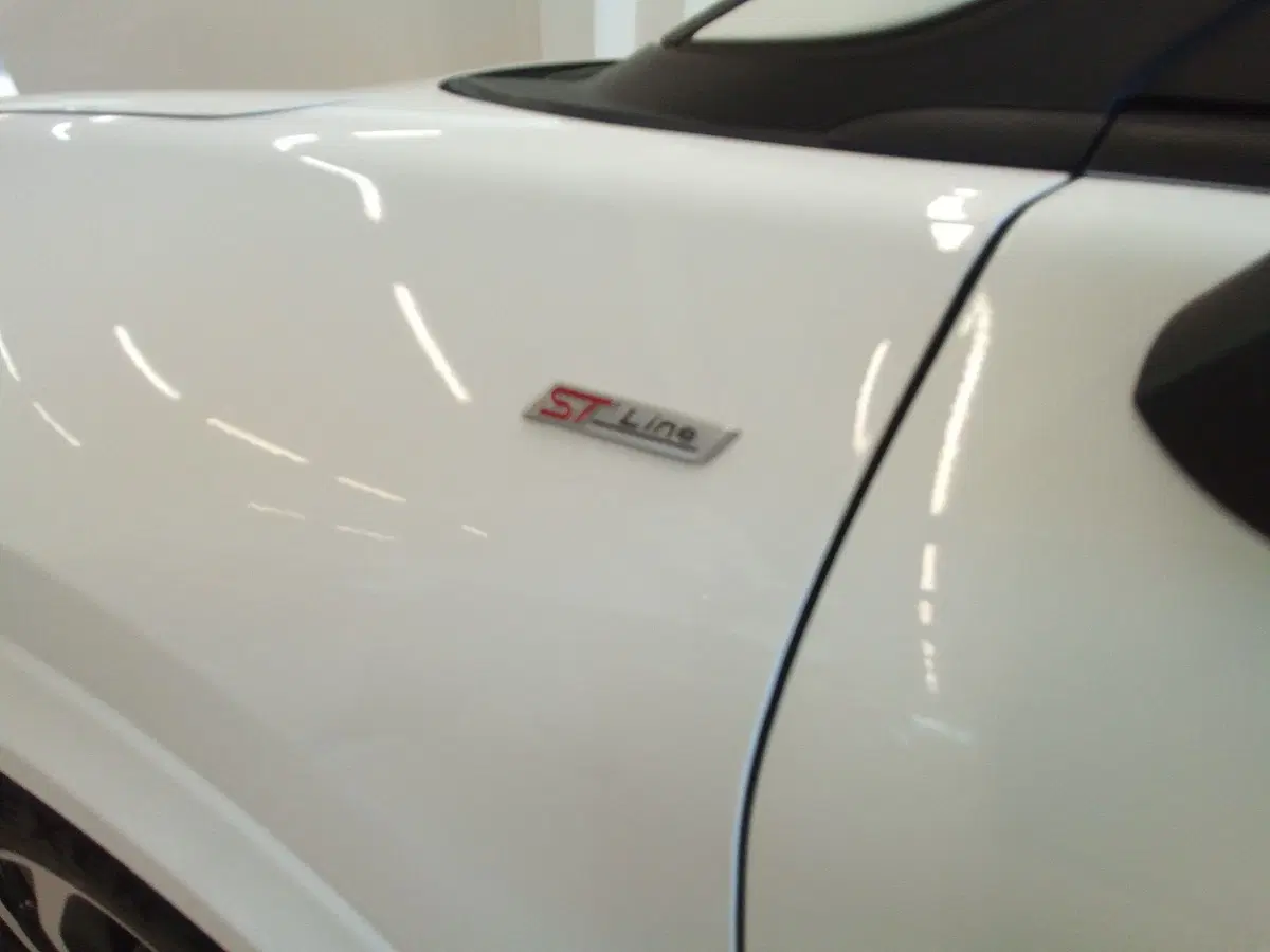 Ford Puma usata a Rimini (9)