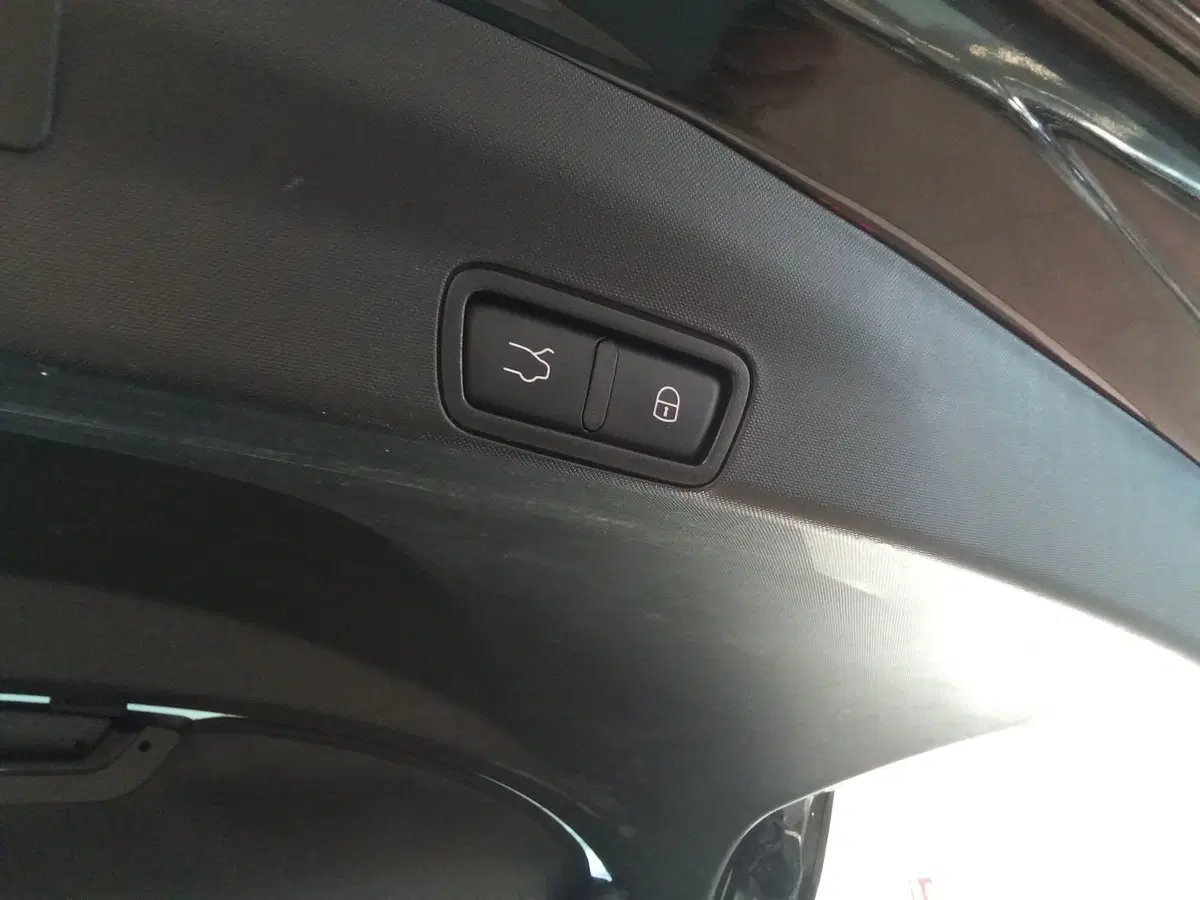 Alfa Romeo Stelvio usata a Rimini (10)