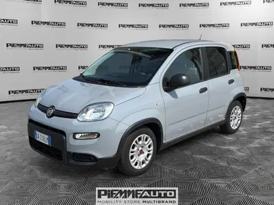 Fiat Panda Cross Cross 1.0 FireFly S&amp;S Hybrid del 2023 usata a Fidenza