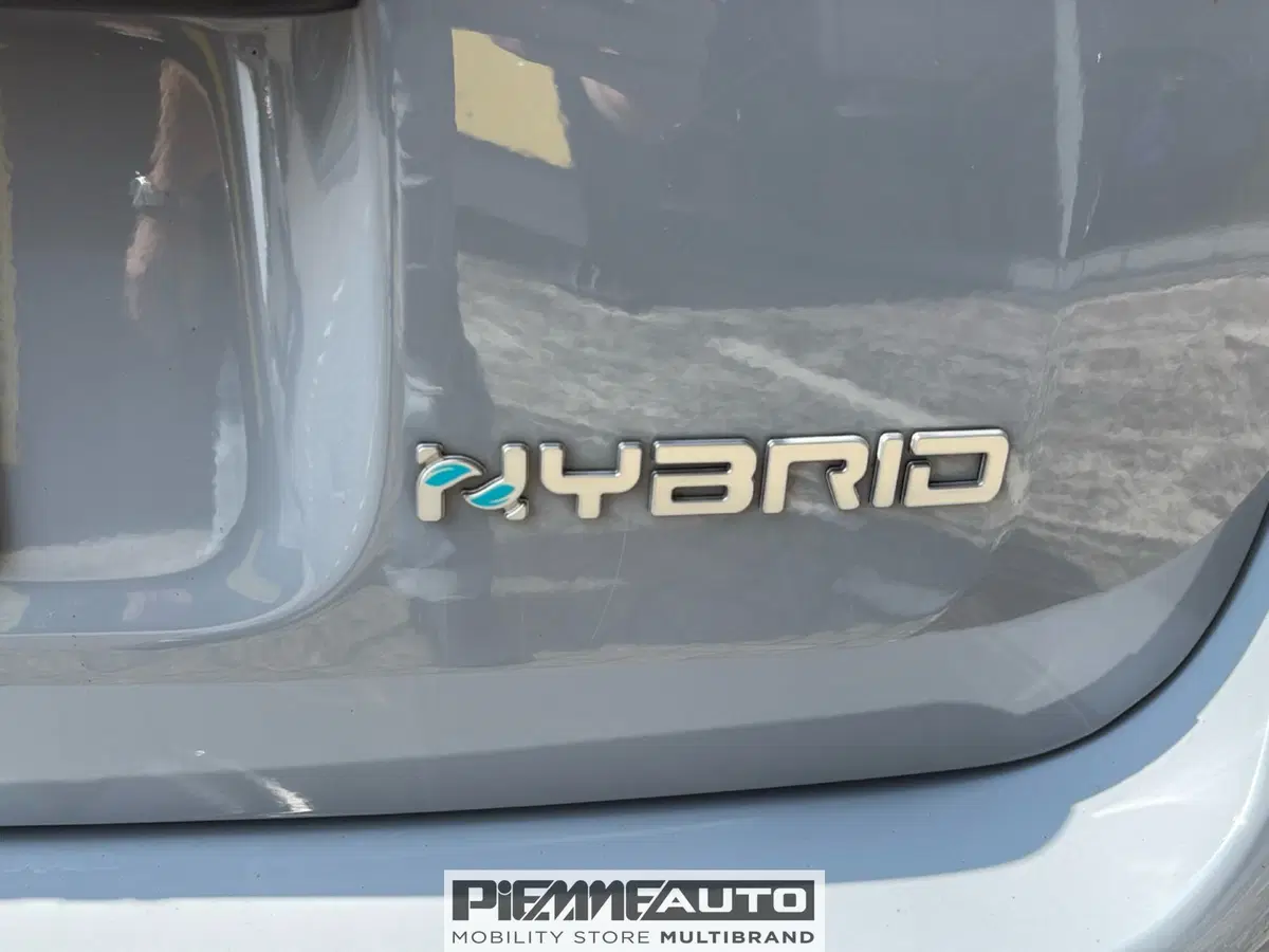 Fiat Panda Cross usata a Parma (18)