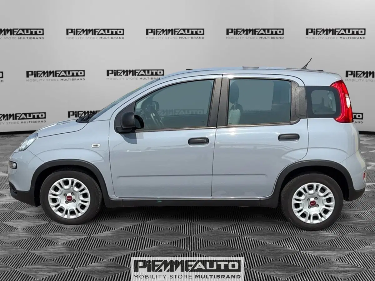 Fiat Panda Cross usata a Parma (2)