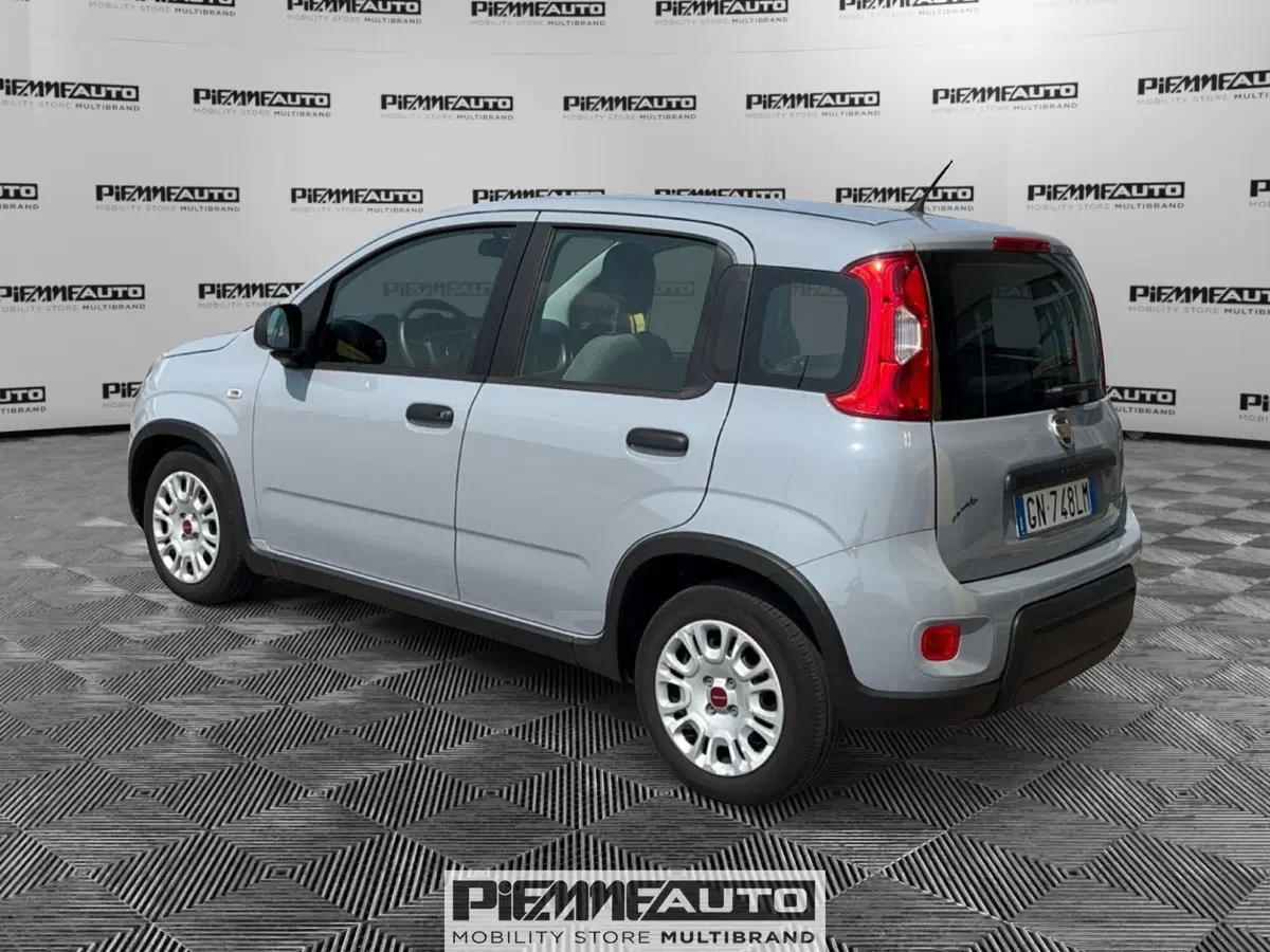 Fiat Panda Cross usata a Parma (3)