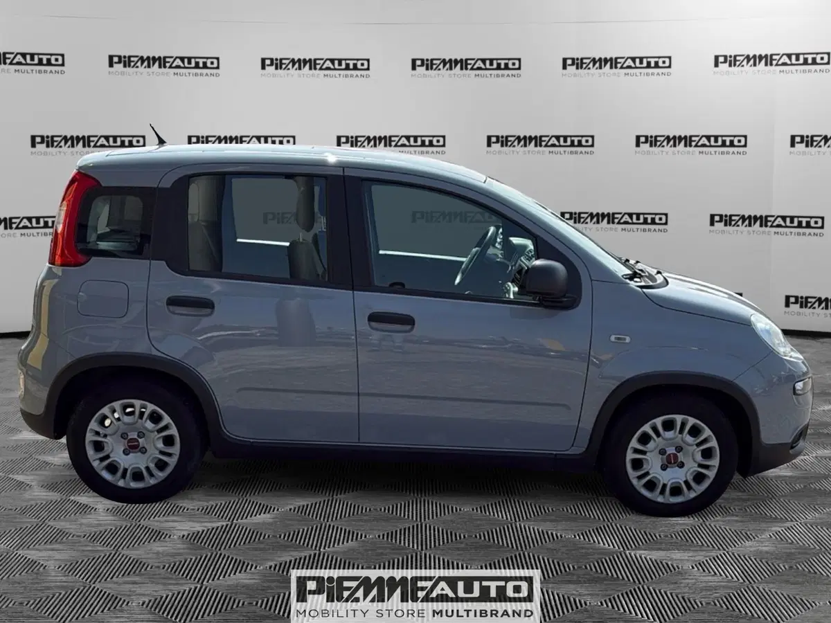 Fiat Panda Cross usata a Parma (7)