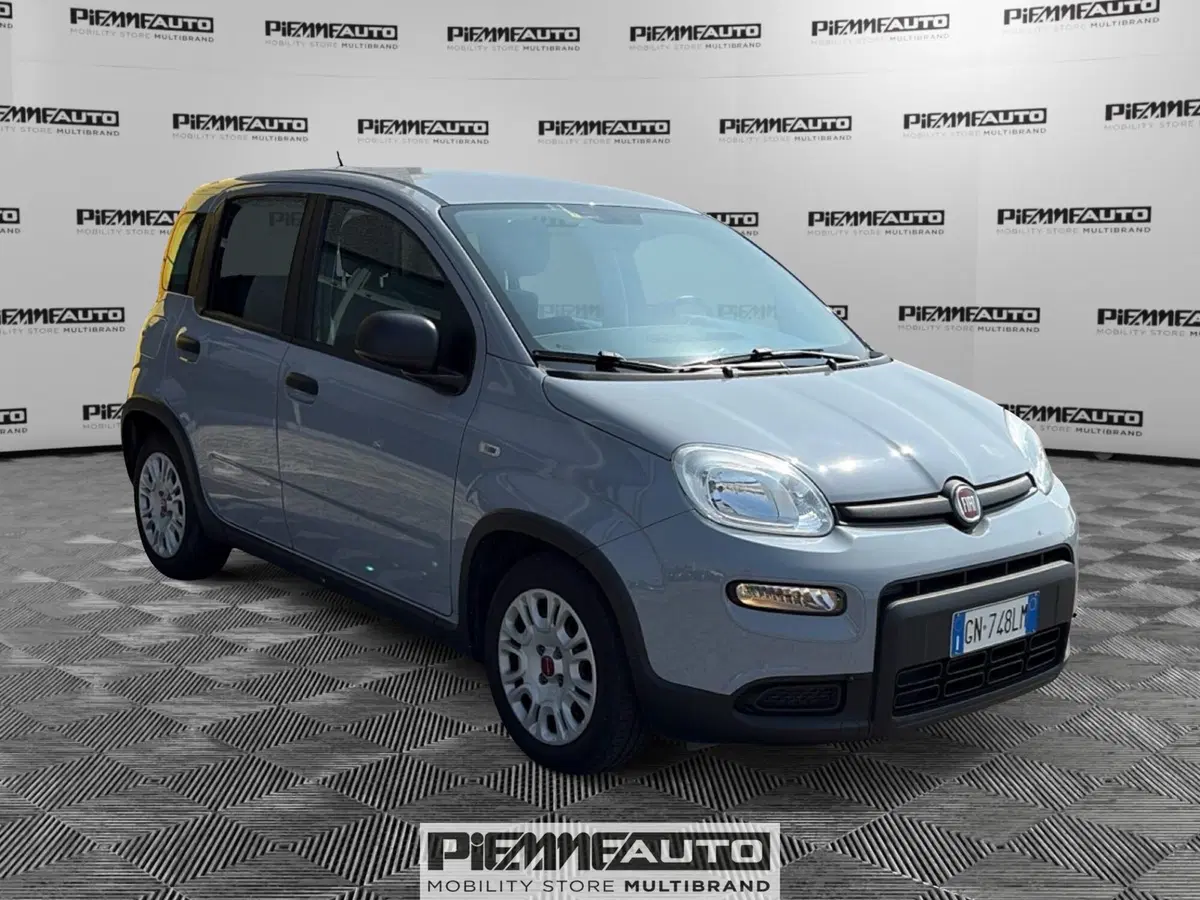 Fiat Panda Cross usata a Parma (8)